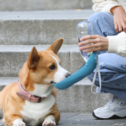 Portable Dog Water Bottle and Feeder for Walks